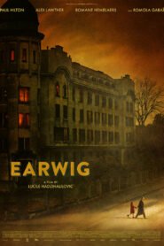 Earwig
